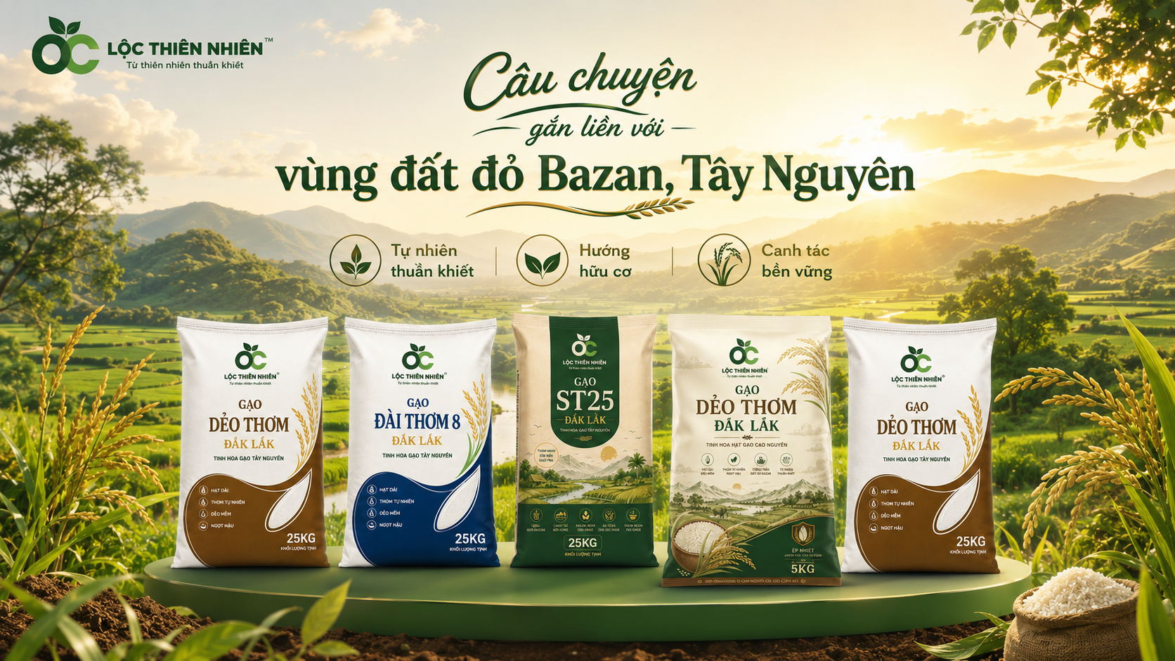 Câu chuyện tạo nên Gạo Vinh Hiển